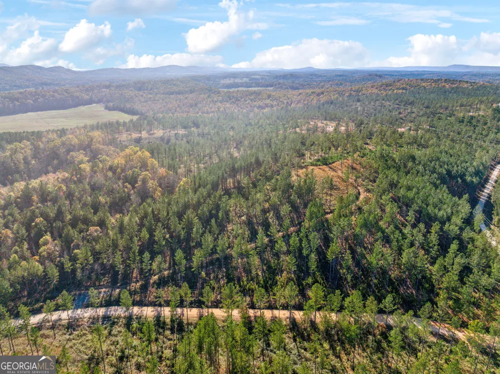 0 County Road 62 Gaylesville, AL 37087
