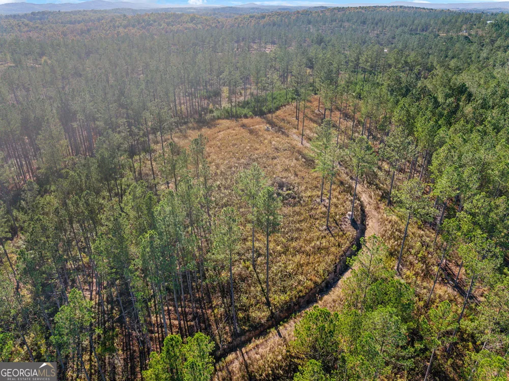 0 County Road 62 Gaylesville, AL 37087