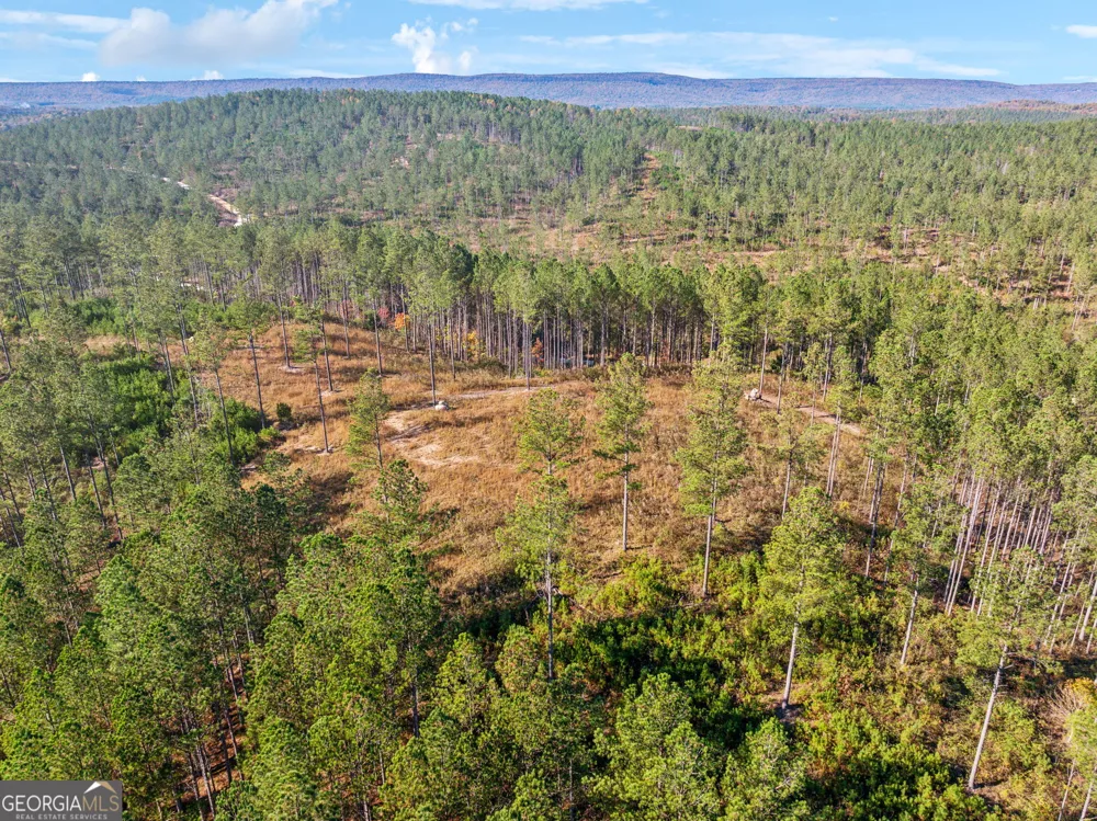 0 County Road 62 Gaylesville, AL 37087