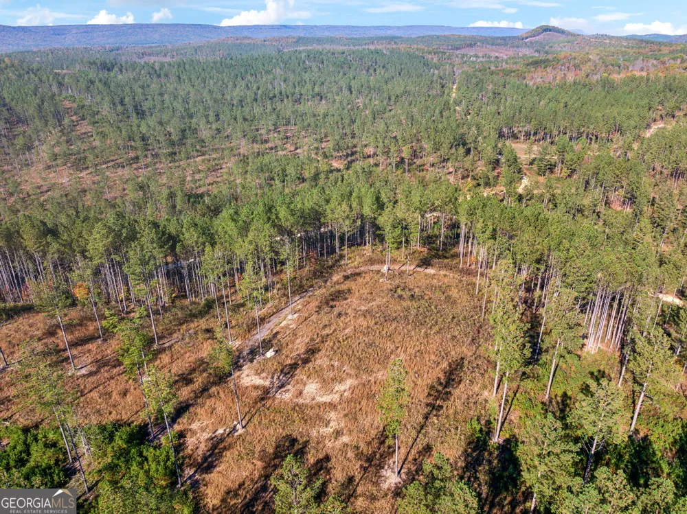 0 County Road 62 Gaylesville, AL 37087