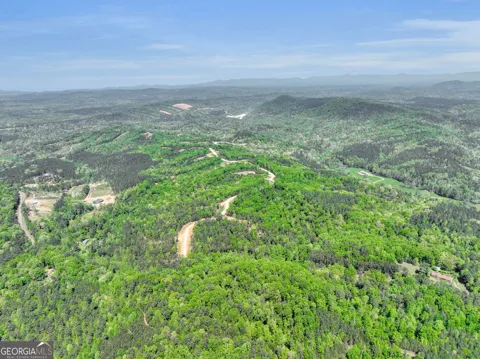 656 Lookout Valley TRL
