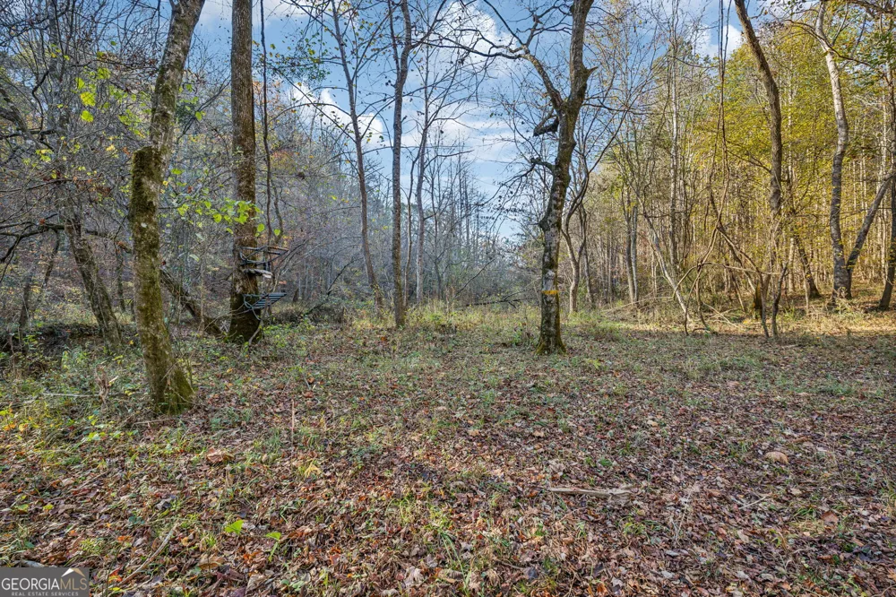 1 Josh Ward RD Summerville, GA 30747