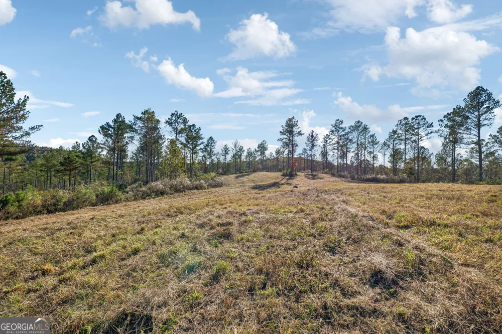 1 Josh Ward RD Summerville, GA 30747