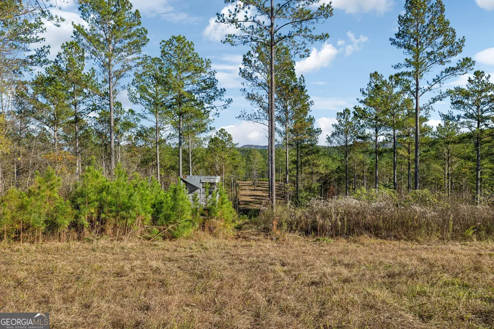 1 Josh Ward RD Summerville, GA 30747