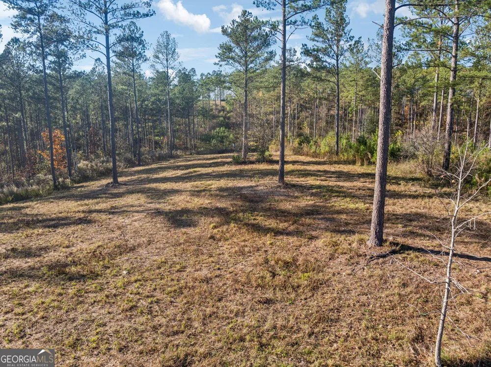 1 Josh Ward RD Summerville, GA 30747