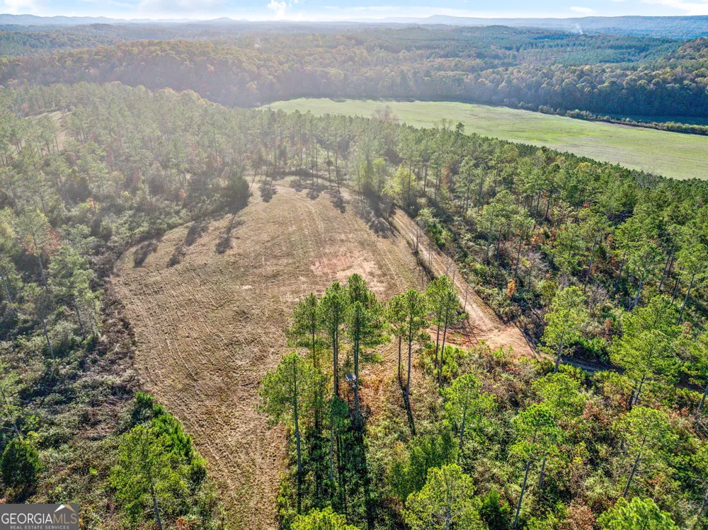 1 Josh Ward RD Summerville, GA 30747