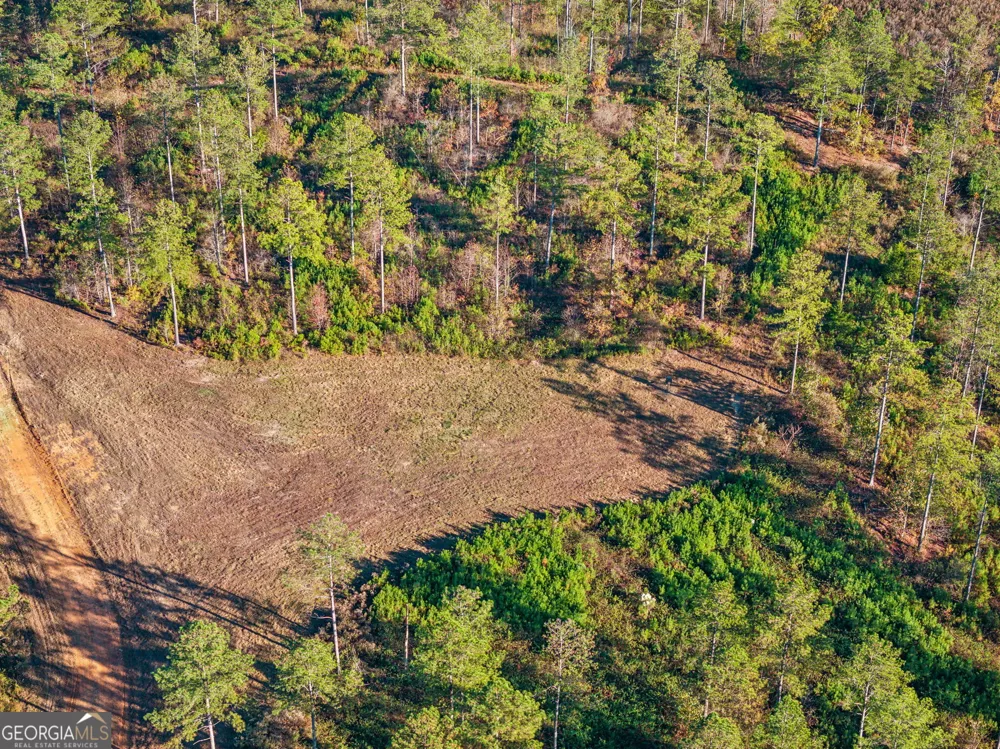 1 Josh Ward RD Summerville, GA 30747
