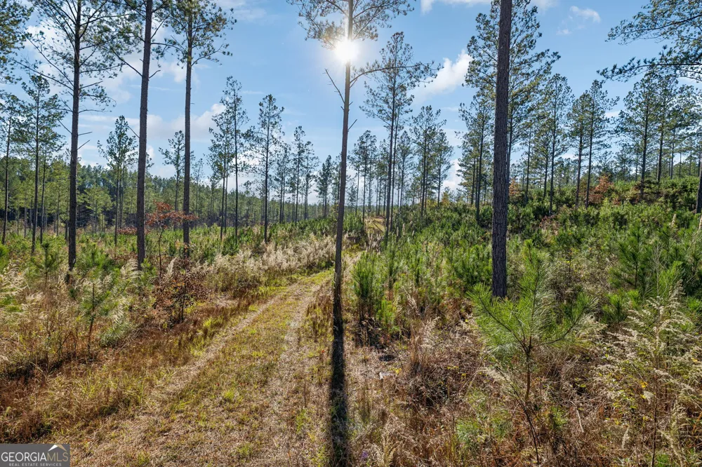 0 Cherokee County 62 Gaylesville, AL 35973