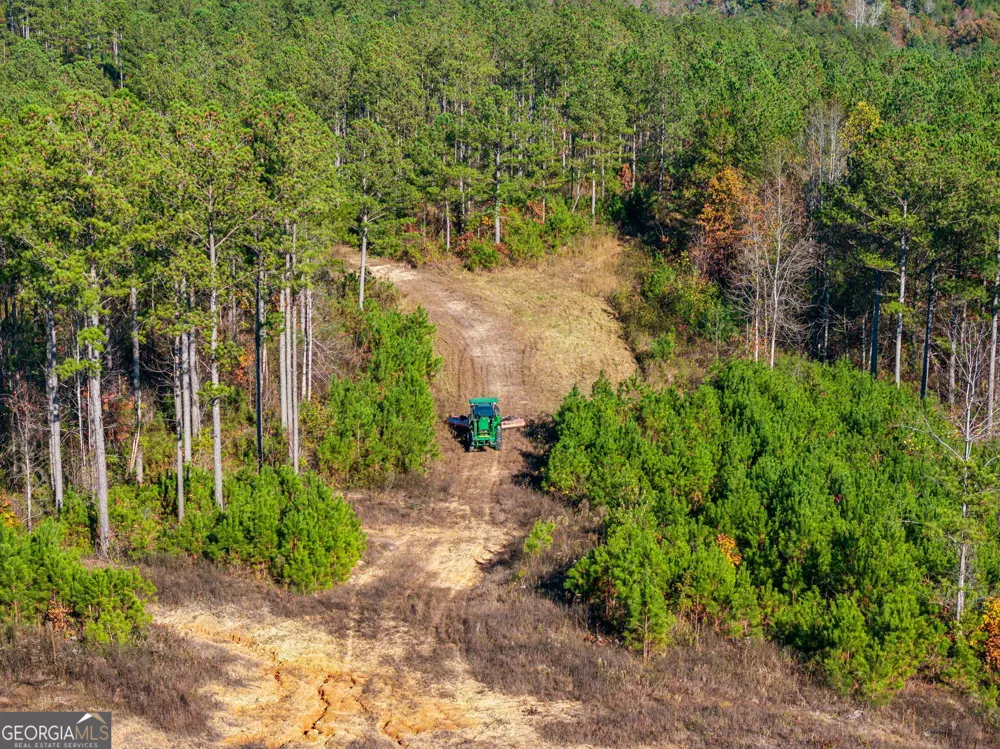 0 Cherokee County 62 Gaylesville, AL 35973