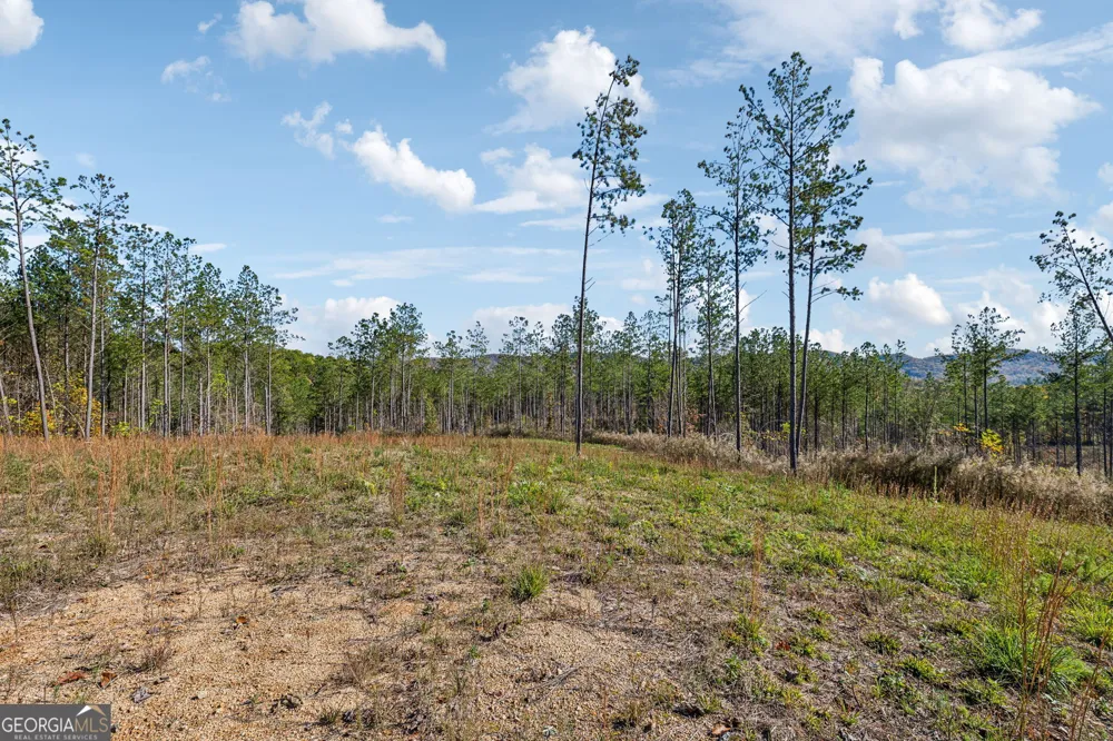 0 Cherokee County 62 Gaylesville, AL 35973