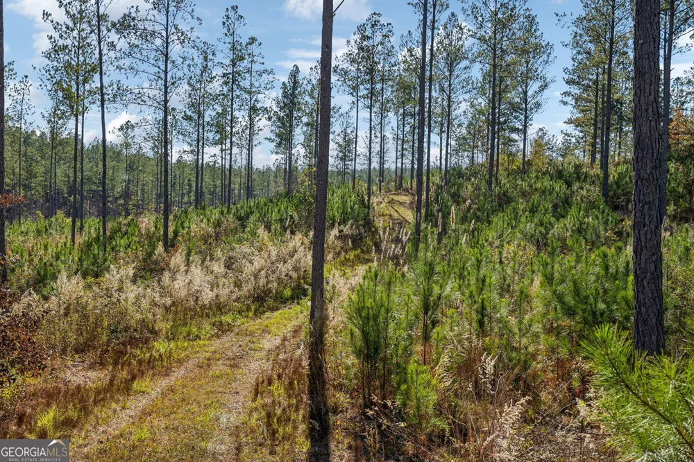 0 Cherokee County 62 Gaylesville, AL 35973