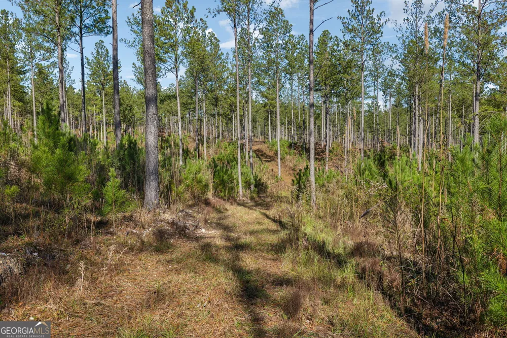 0 Cherokee County 62 Gaylesville, AL 35973