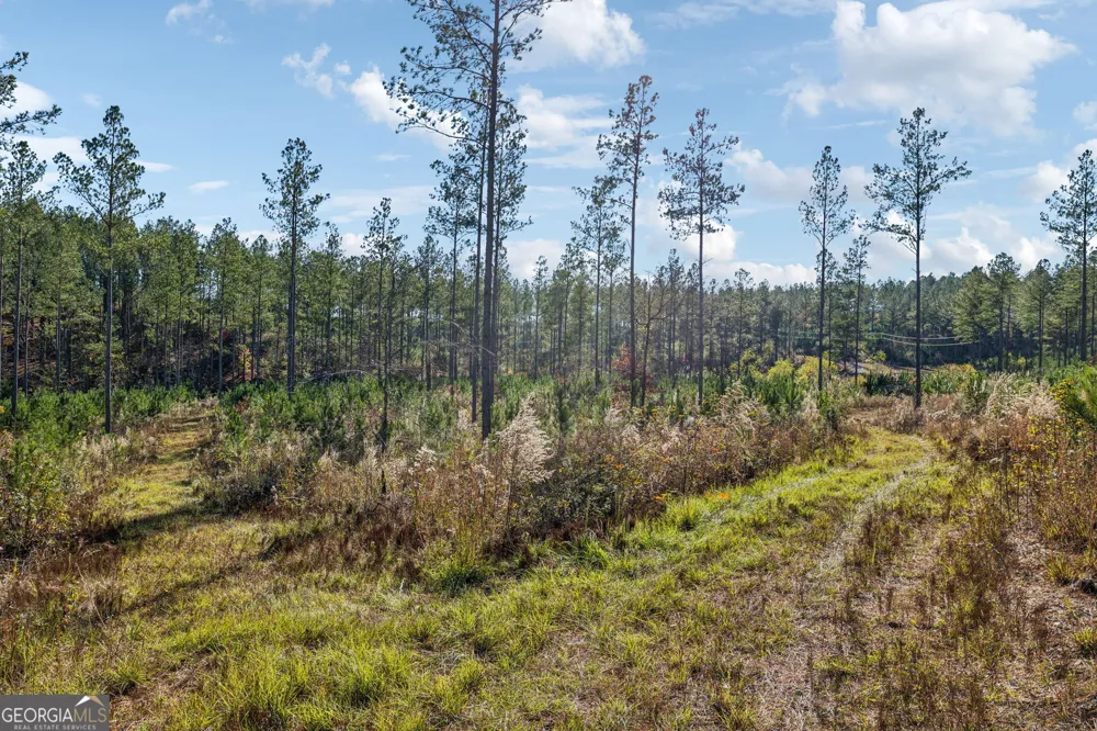 0 Cherokee County 62 Gaylesville, AL 35973