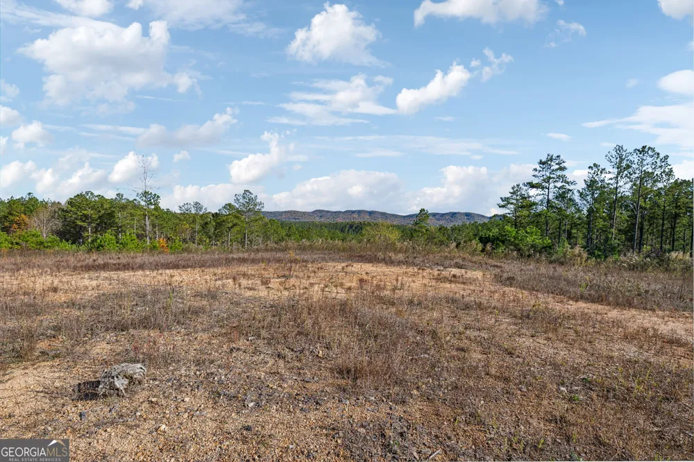 0 Cherokee County 62 Gaylesville, AL 35973