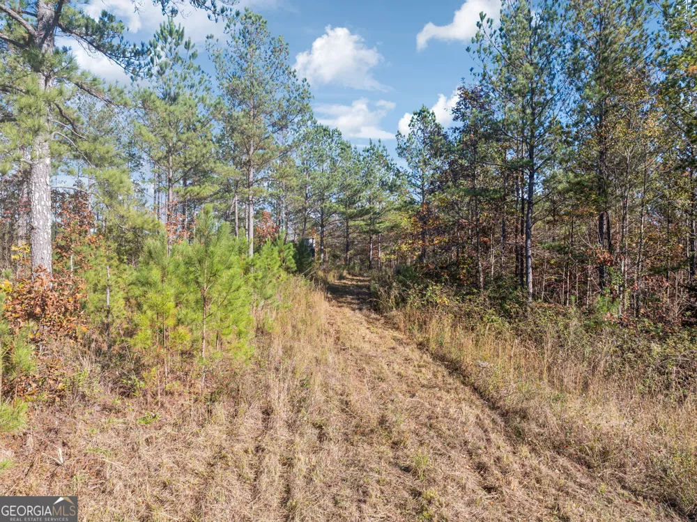 0 Cherokee County 62 Gaylesville, AL 35973