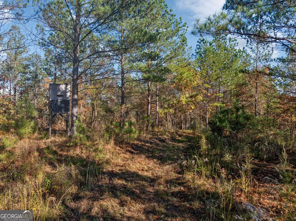 0 Cherokee County 62 Gaylesville, AL 35973