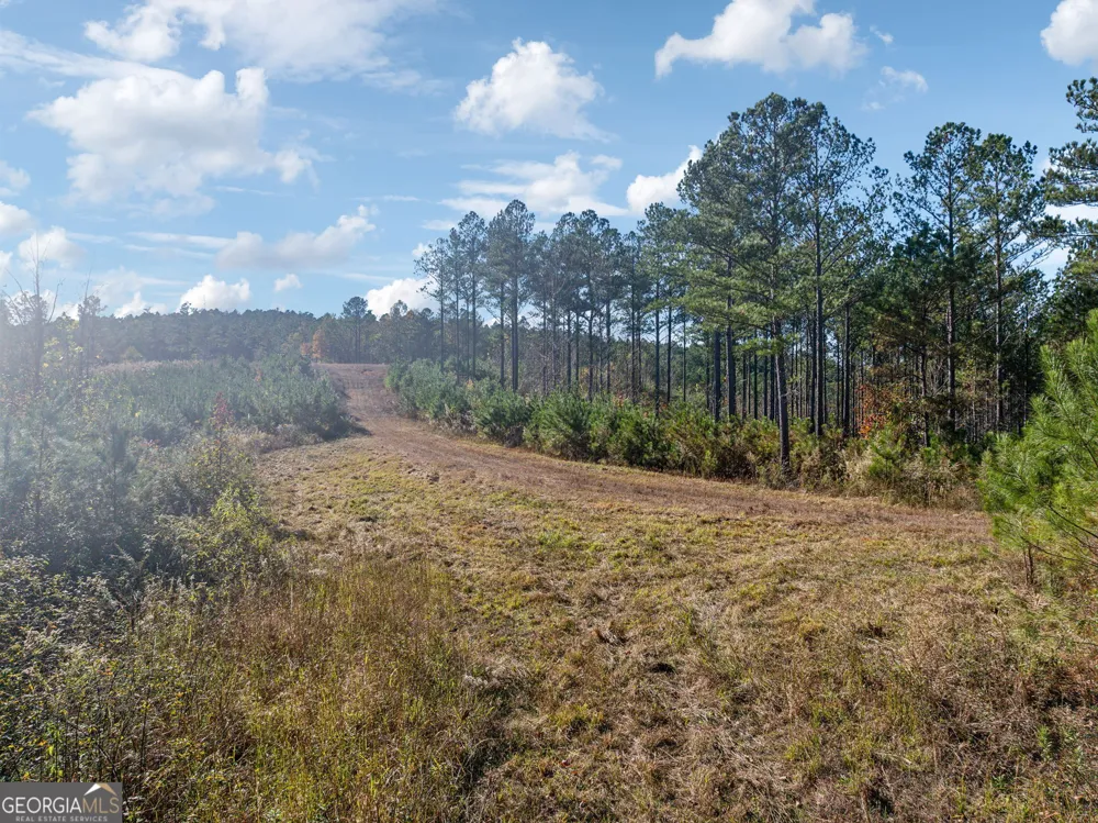 0 Cherokee County 62 Gaylesville, AL 35973