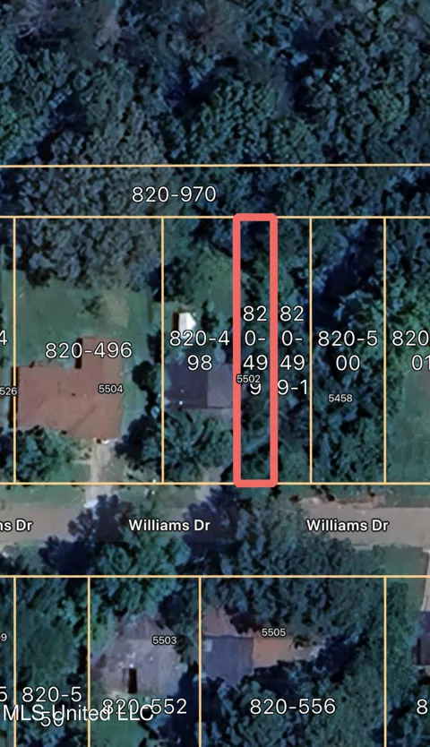 Lot 19 Williams Street