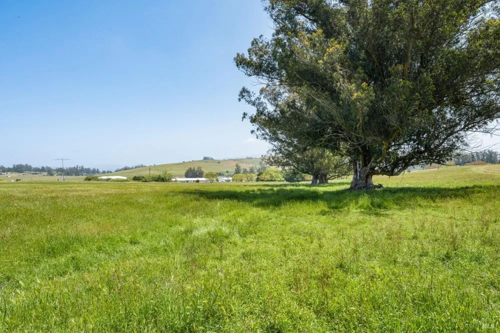 130 Jewett Road Petaluma, CA 94952