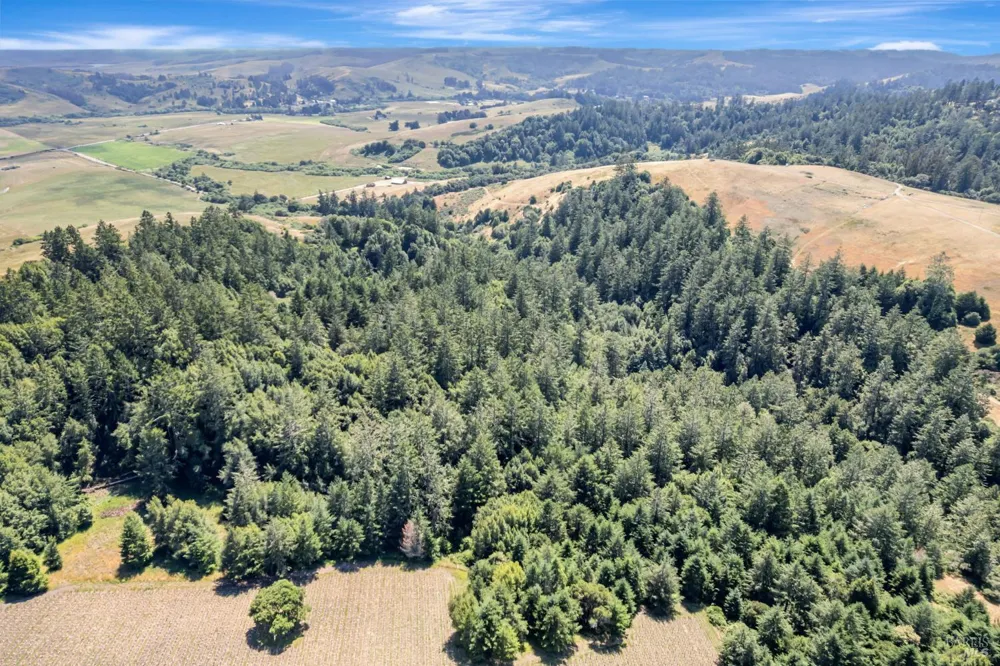 S Bodega Highway Freestone, CA 95472