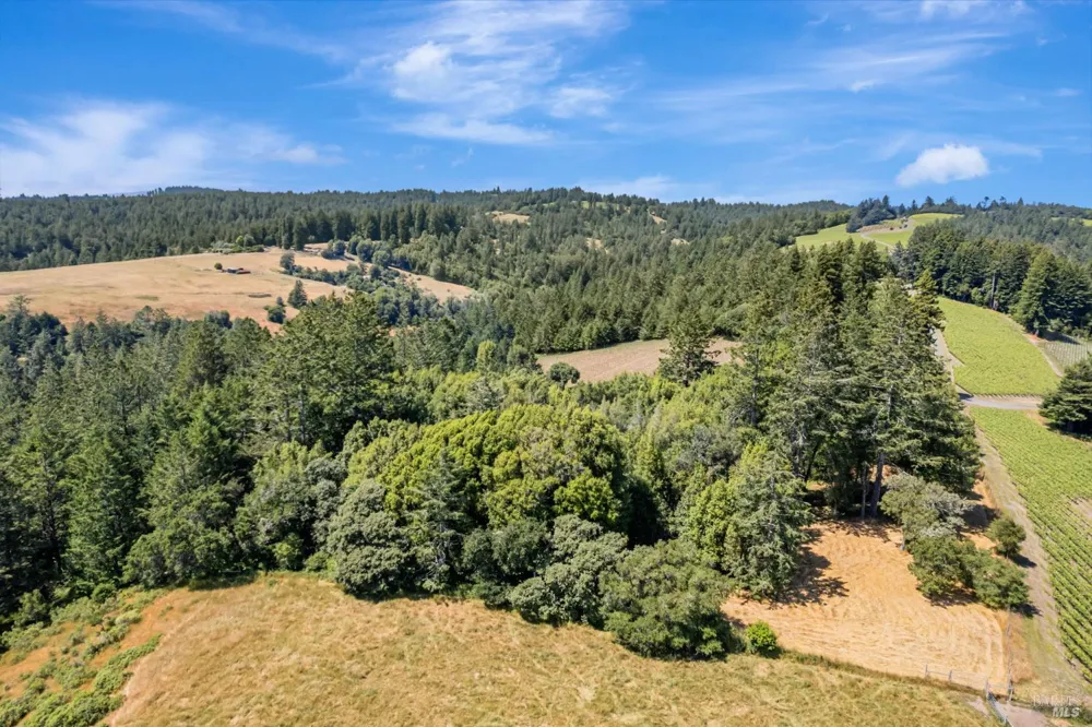 S Bodega Highway Freestone, CA 95472