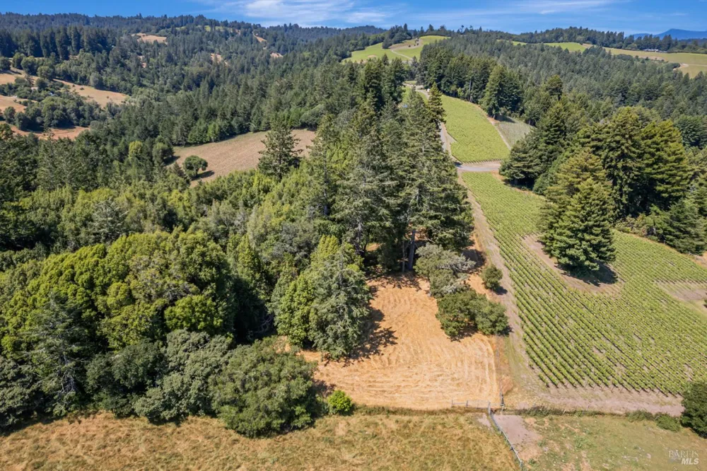 S Bodega Highway Freestone, CA 95472