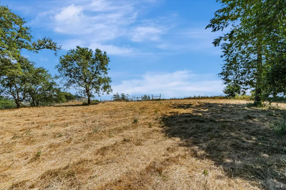 S Bodega Highway Freestone, CA 95472