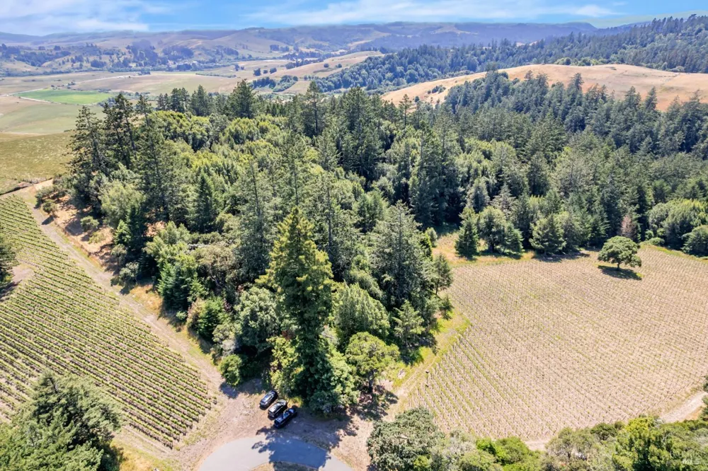 S Bodega Highway Freestone, CA 95472