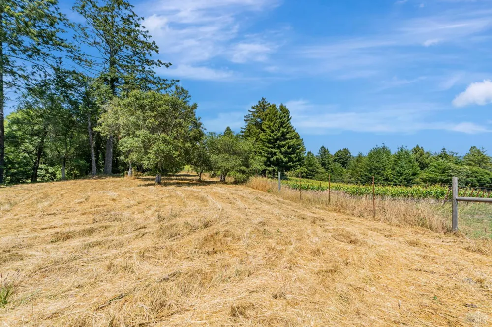 S Bodega Highway Freestone, CA 95472