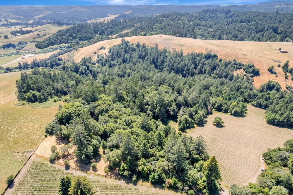 S Bodega Highway Freestone, CA 95472