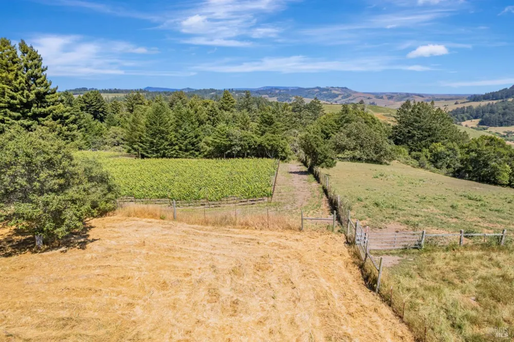 S Bodega Highway Freestone, CA 95472