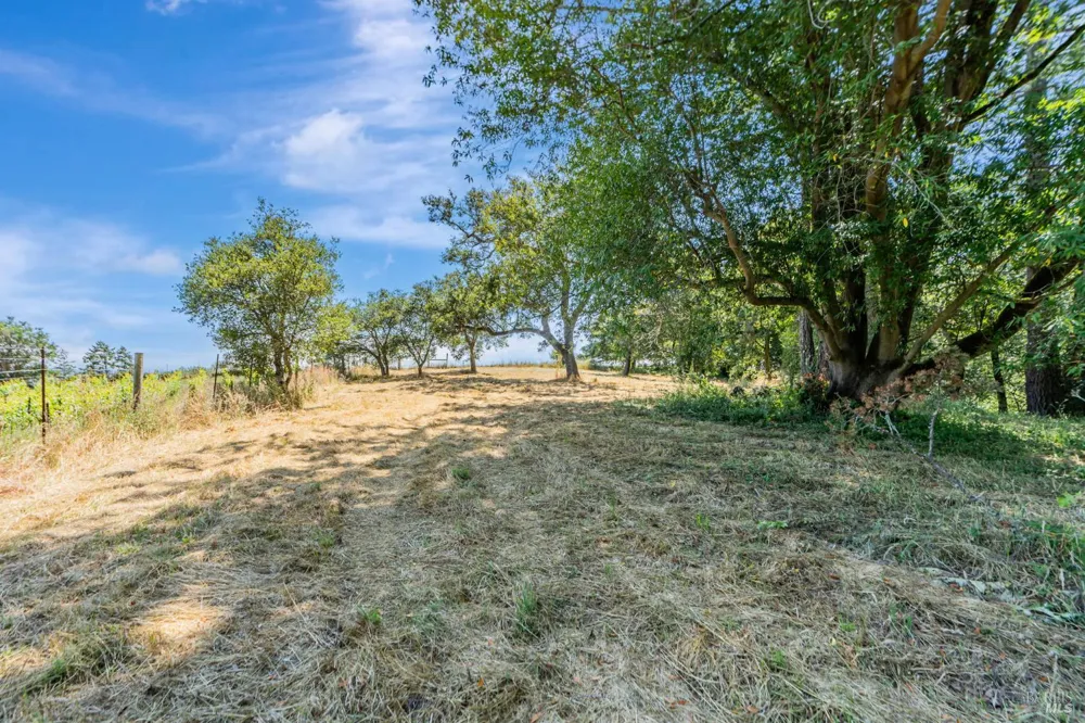 S Bodega Highway Freestone, CA 95472
