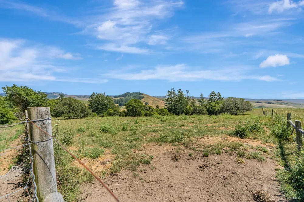 S Bodega Highway Freestone, CA 95472
