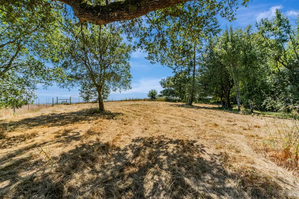 S Bodega Highway Freestone, CA 95472