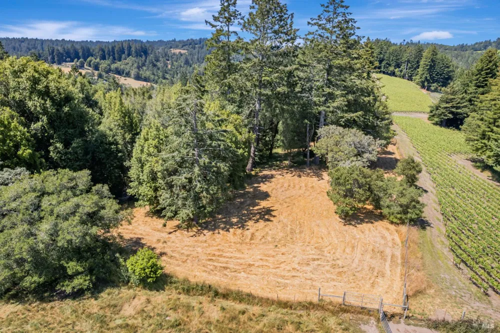 S Bodega Highway Freestone, CA 95472
