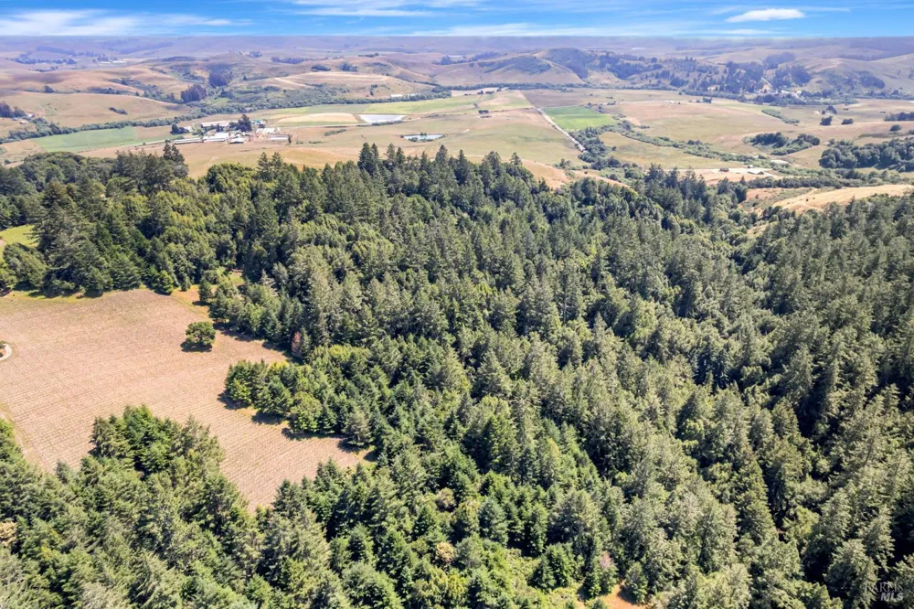 S Bodega Highway Freestone, CA 95472