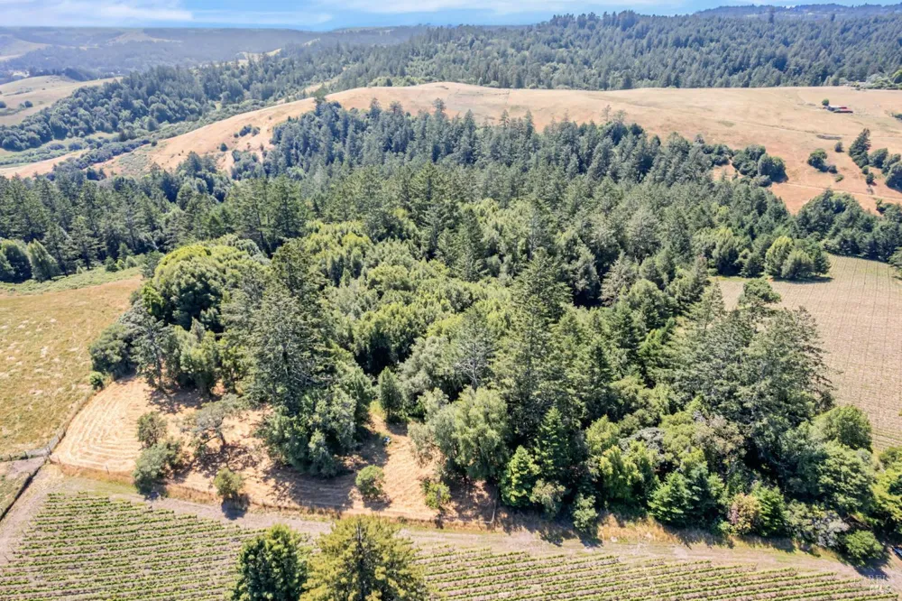 S Bodega Highway Freestone, CA 95472
