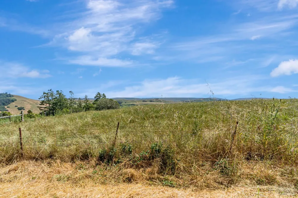 S Bodega Highway Freestone, CA 95472