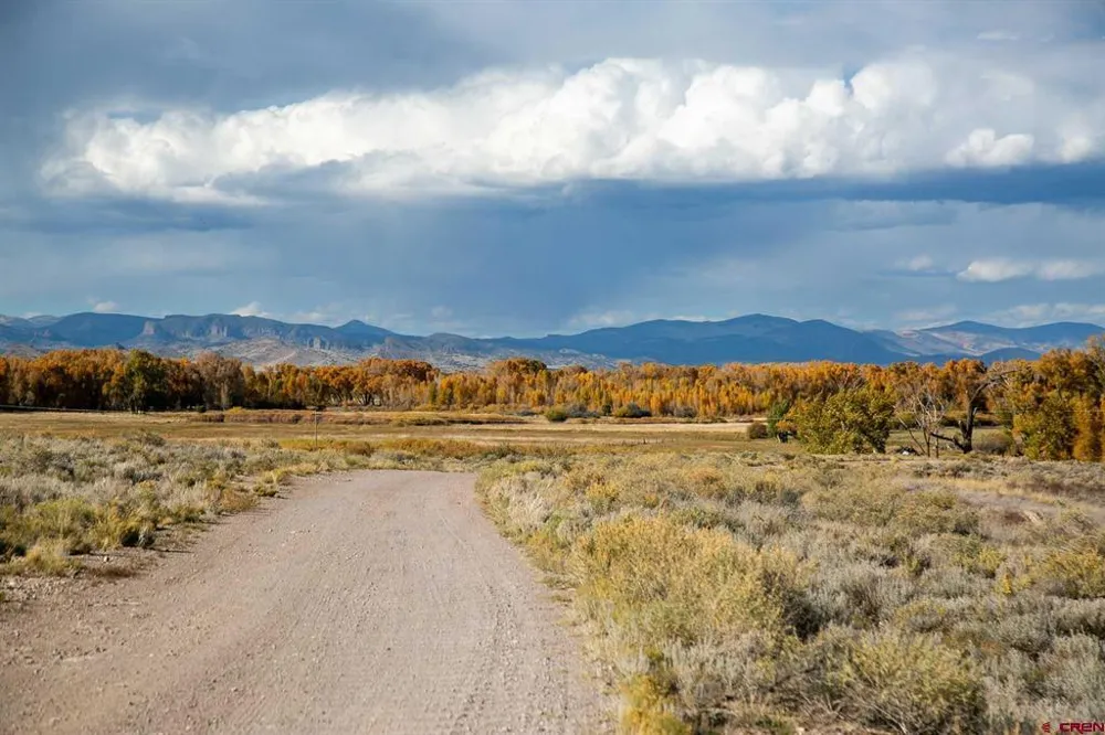 6771 W County Road 5 N Del Norte, CO 81132