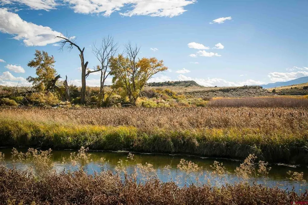 6771 W County Road 5 N Del Norte, CO 81132