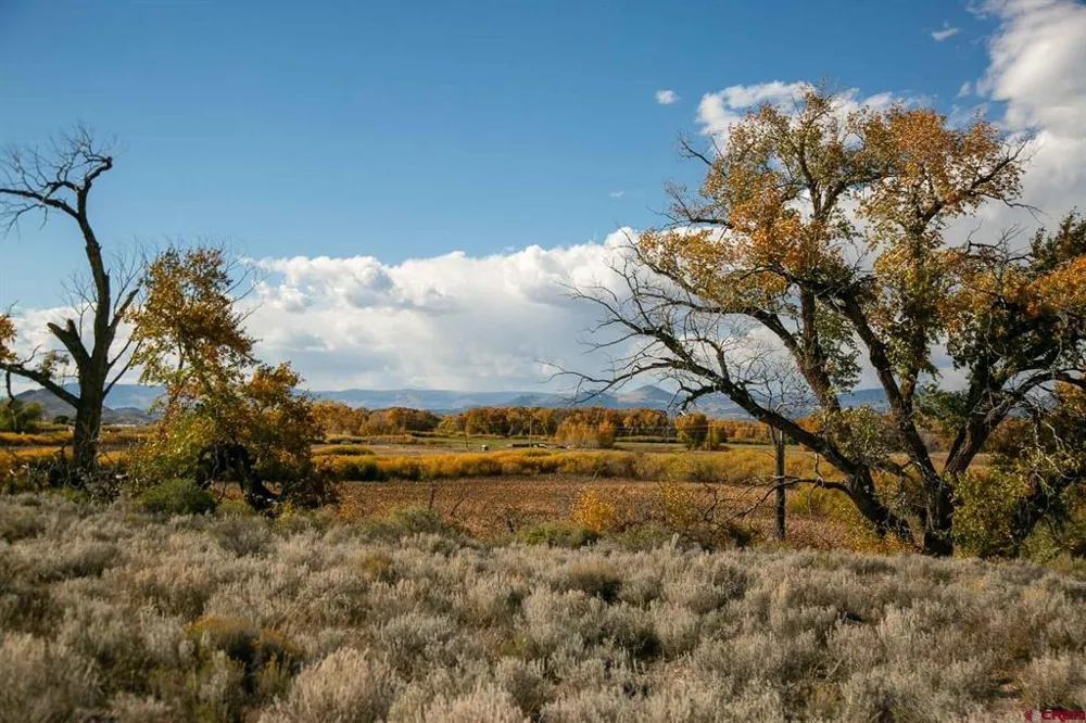 6771 W County Road 5 N Del Norte, CO 81132