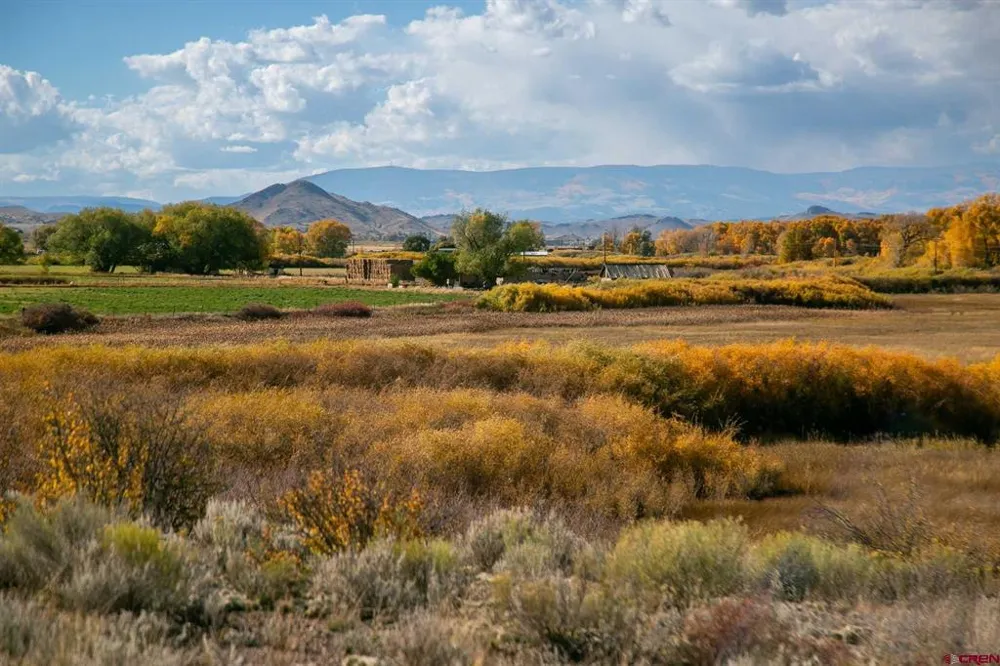6771 W County Road 5 N Del Norte, CO 81132
