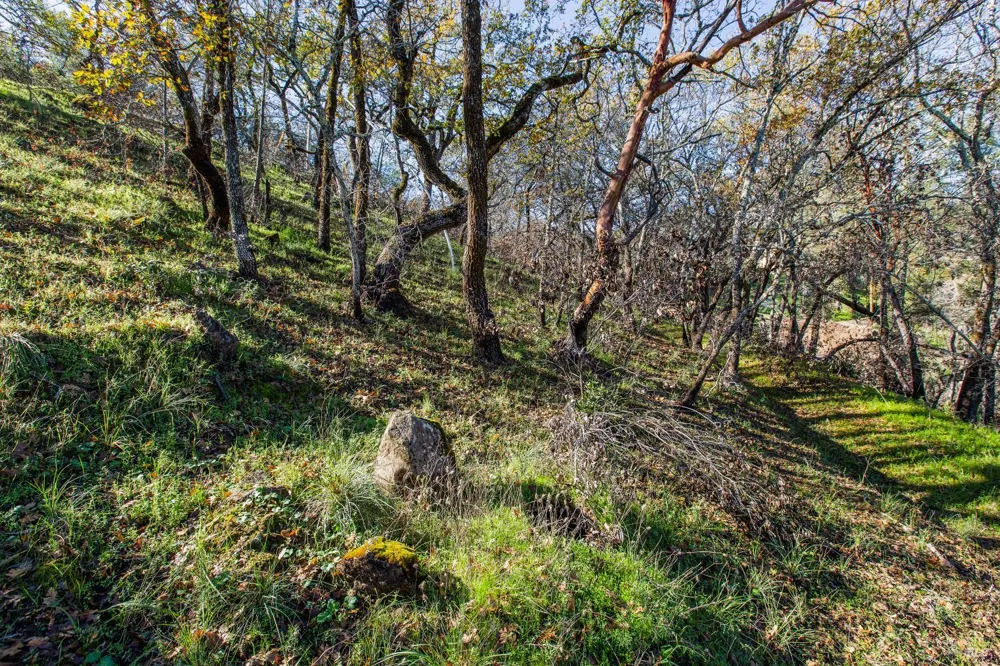 Tucker Road Calistoga, CA 94515