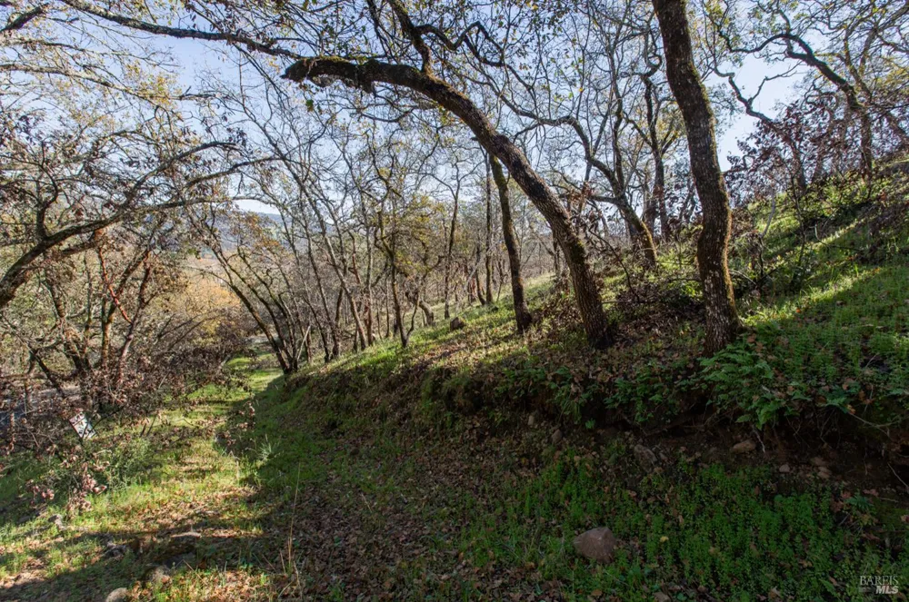 Tucker Road Calistoga, CA 94515