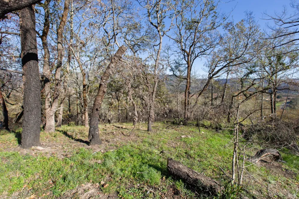 Tucker Road Calistoga, CA 94515