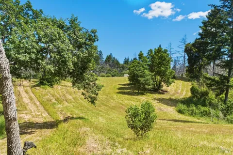 3444 Chicken Ridge Road