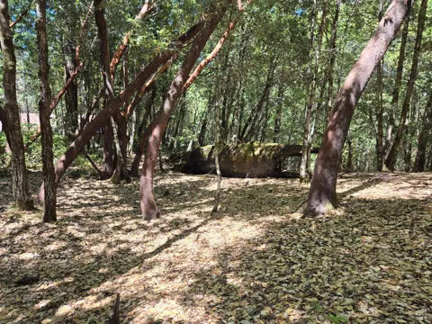 1686 Ponderosa Road