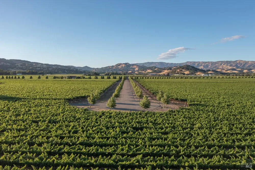 Lanza Drive Fairfield, CA 94559