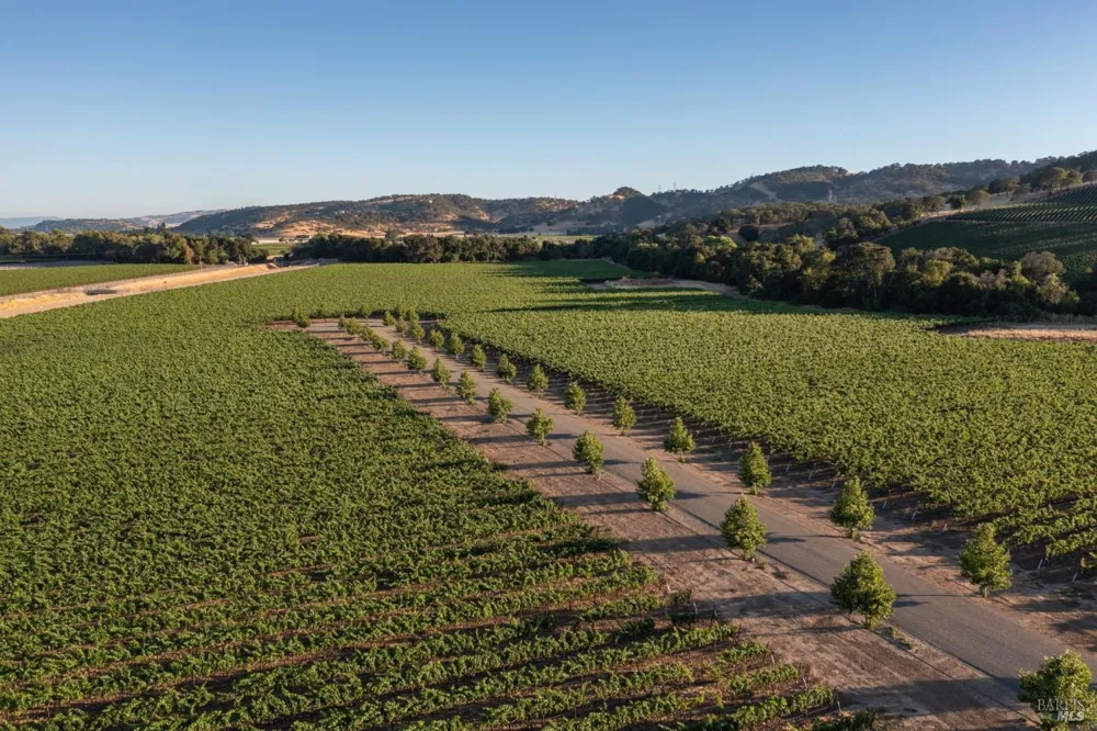 Lanza Drive Fairfield, CA 94559