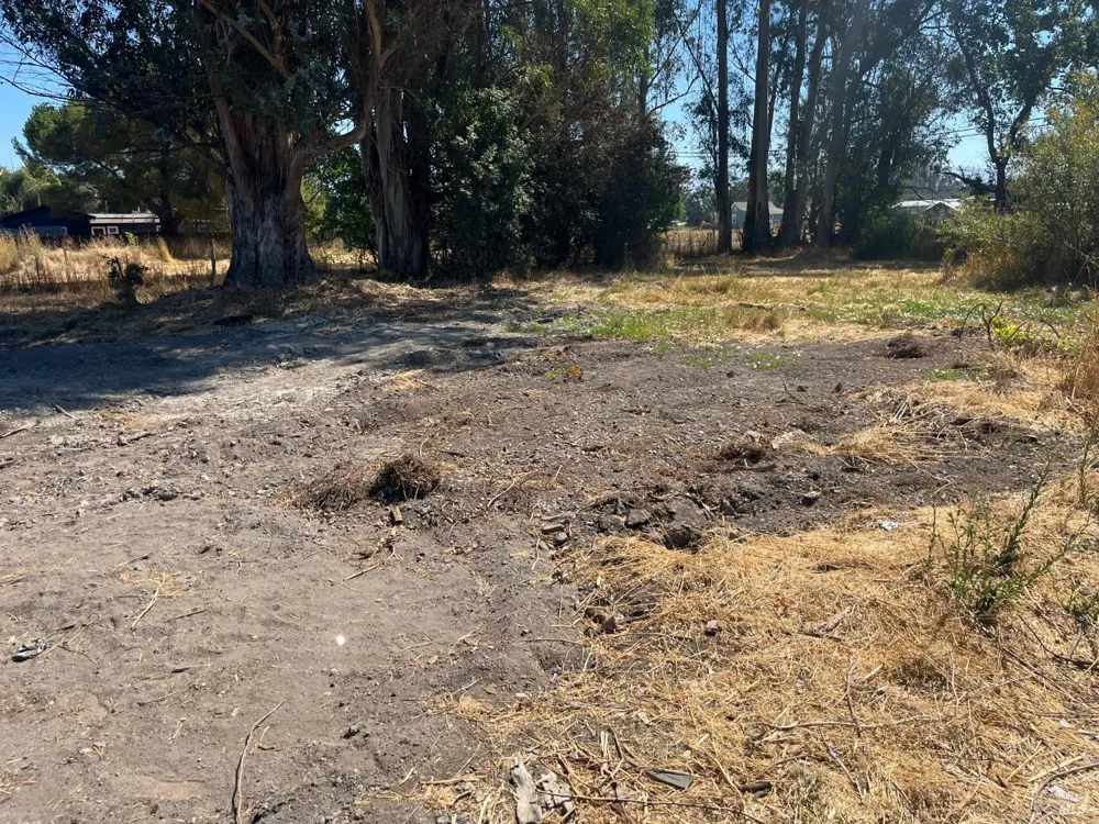 7459 Alder Avenue Cotati, CA 94931